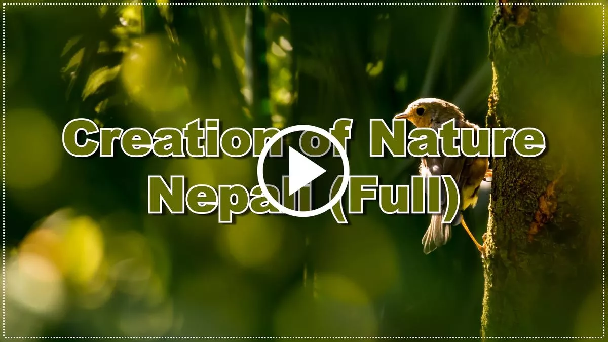 Creation of Nature Nepali