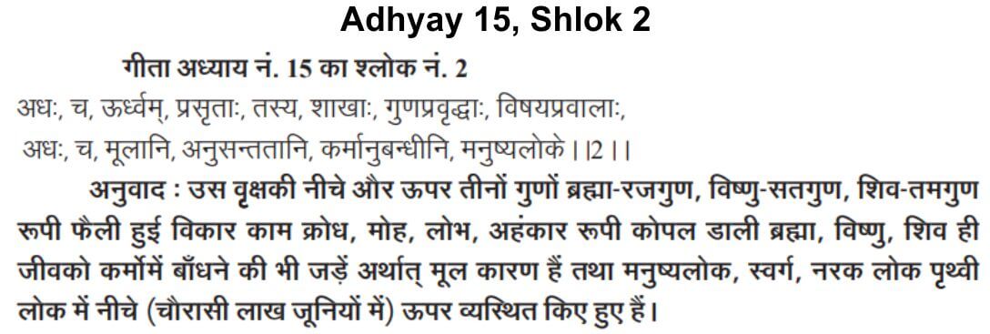 Gita Adhyay 15 Shlok 2