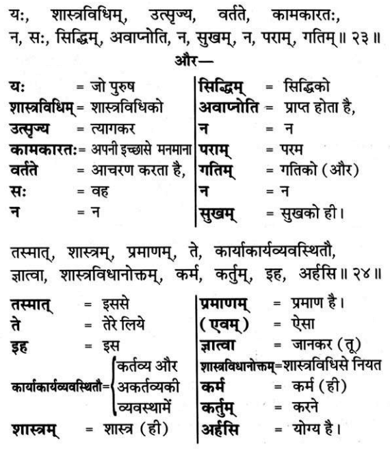 Gita 16.23-24