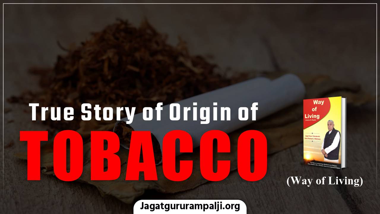 True-Story-of-Origin-of-Tobacco-english-photo