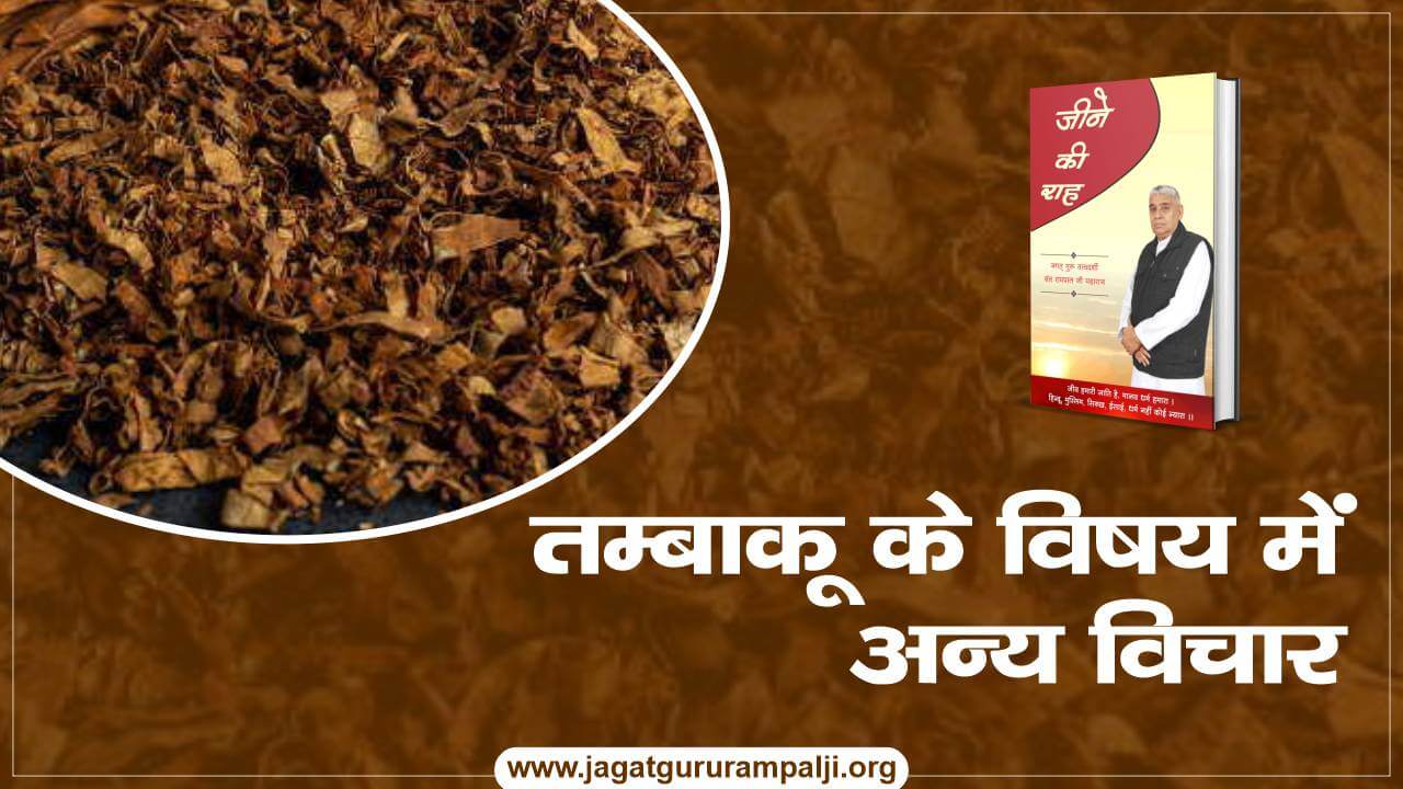 saint-garibdas-ji-views-on-tobacco-hindi