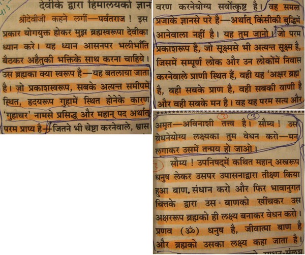 Devi Bhagvata Skand 7, Adhyay 36, Page 562 - 563